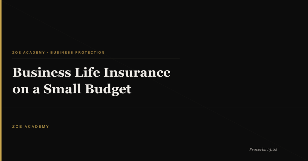 Business Life Insurance on a Small Budget - Zoe Academy